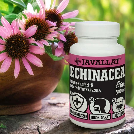 Echinacea (húgyutak támogatása)