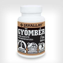 Gyömbér